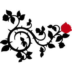 After the fairy tale After the fairy tale